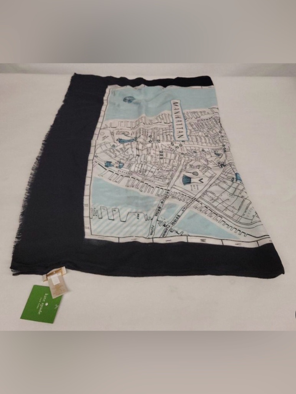 Kate Spade RARE Color RETIRED NY Manhattan Map Oblong Scarf IceBlue Multi Fringe